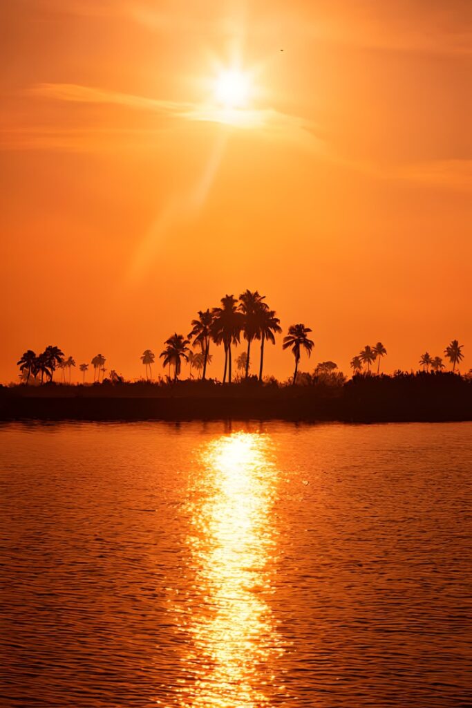 sunset alleppey shikara ride